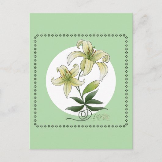 Lilies Postkarte (Vorderseite)