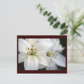 Lilies Postkarte (Stehend Vorderseite)