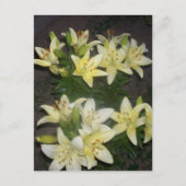 Lilies Postkarte (Vorderseite)