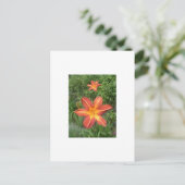 :Lilies Postkarte (Stehend Vorderseite)