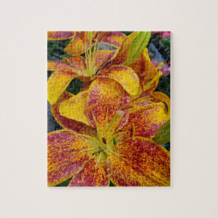 Lilies Puzzle