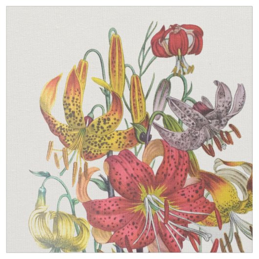 Lilies Stoff (Nahaufnahme)