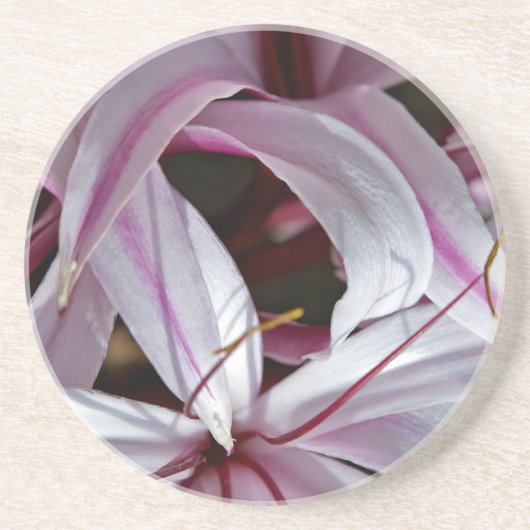 Lilies Untersetzer (Vorne)