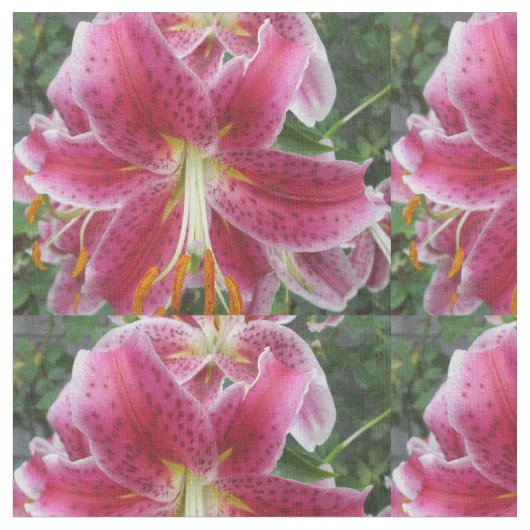 Liliestargazer-lila Blume Stoff (Nahaufnahme)