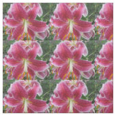 Liliestargazer-lila Blume Stoff (Muster)