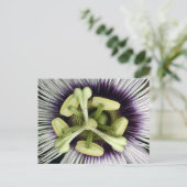 Lilikoi Blume Postkarte (Stehend Vorderseite)