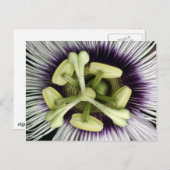 Lilikoi Blume Postkarte (Vorne/Hinten)