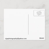 Lilikoi Blume Postkarte (Rückseite)