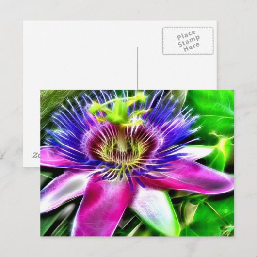 Lilikoi oder Passion-Blume Postkarte (Vorne/Hinten)
