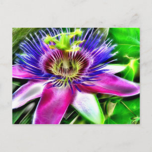 Lilikoi oder Passion-Blume Postkarte