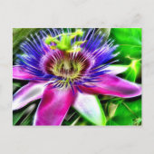 Lilikoi oder Passion-Blume Postkarte (Vorderseite)