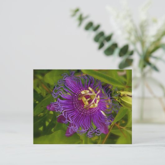 Lilikoi oder Passion-Blume Postkarte (Stehend Vorderseite)