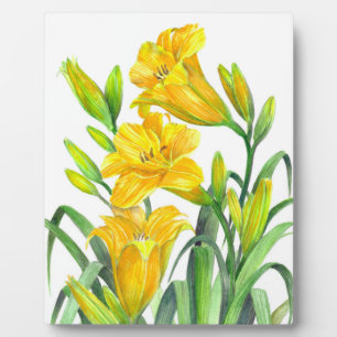 Lilis Park/Garten: Fotoplatte