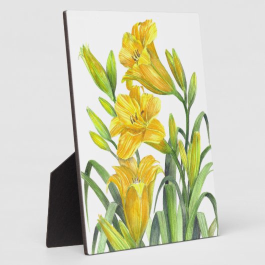 Lilis Park/Garten: Fotoplatte (Seite)