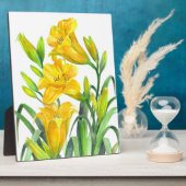 Lilis Park/Garten: Fotoplatte (Seite)