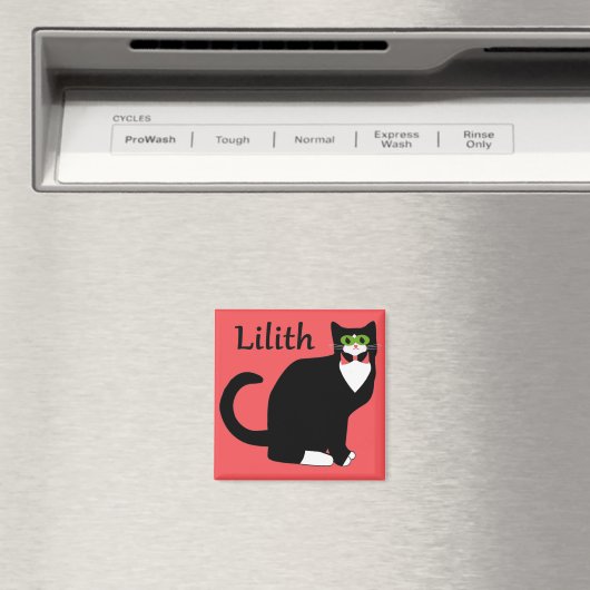 Lilith Kitty Magnet (In Situ (Geschirrspüler))