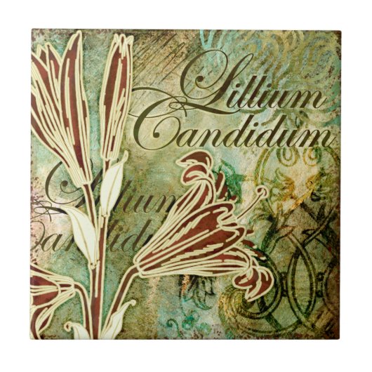 Lilium Candidum Fliese (Vorderseite)