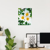 Lilium candidum Poster (Heimbüro)