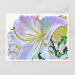 Lilium "Casa Blanca" Postkarte] ポ ス トド Postkarte