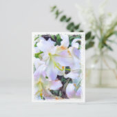 Lilium "Casa Blanca" Postkarte] ポ ス トド Postkarte (Stehend Vorderseite)