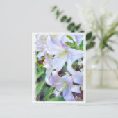 Lilium "Casa Blanca" Postkarte] ポ ス トド Postkarte (Stehend Vorderseite)