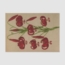 Lilium Chalcedonicum von Arentina Hendrica Arendse