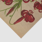 Lilium Chalcedonicum von Arentina Hendrica Arendse Seidenpapier (Ausschnitt)