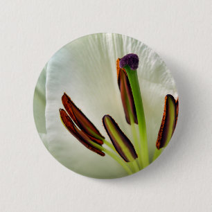 Lilium Oriental White Abzeichen Button