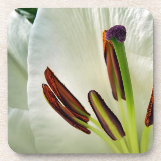 Lilium Oriental White Getränkeuntersetzer (Vorderseite)