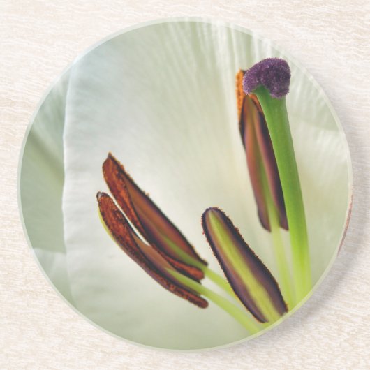 Lilium Oriental White Getränkeuntersetzer (Vorne)