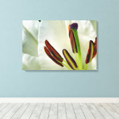 Lilium Oriental White Leinwanddruck (Insitu (Holzboden))