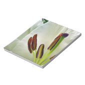 Lilium Oriental White Notizblock (Rotiert)