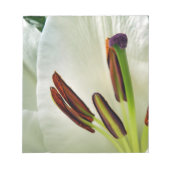 Lilium Oriental White Notizblock (Vorderseite)
