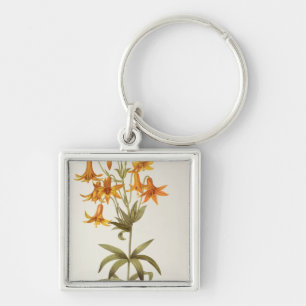 Lilium Penduliflorum, von "Les Liliacees", 1811 Schlüsselanhänger