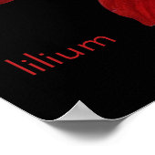 Lilium Poster (Ecke)
