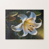 Lilium Puzzle (Horizontal)
