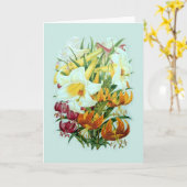 Lilium speciies karte (Gelbe Blume)