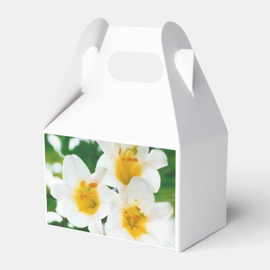 Liliumkandidat Geschenkschachtel (Rückseite)