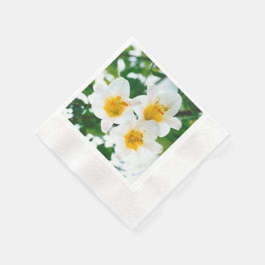 Liliumkandidat Serviette (Ecke)