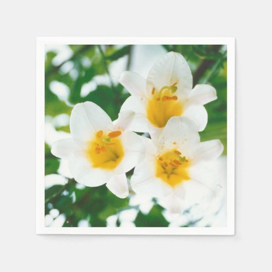 Liliumkandidat Serviette (Vorderseite)