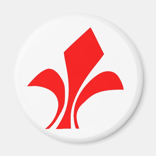 Lille, Frankreich Magnet (Vorne)