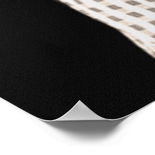 Lillian Gish Poster (Ecke)