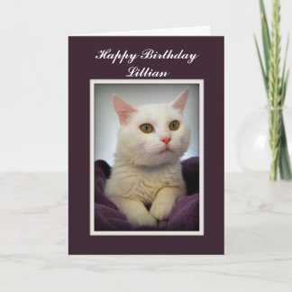 Lillian Happy Birthday White Cat Card Karte