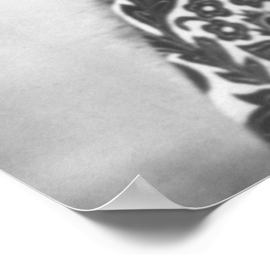 Lillie Langtry, 1882 Poster (Ecke)