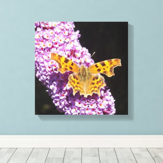 Lillische Blume mit einem Schmetterling darauf Leinwanddruck (Insitu (Holzboden))