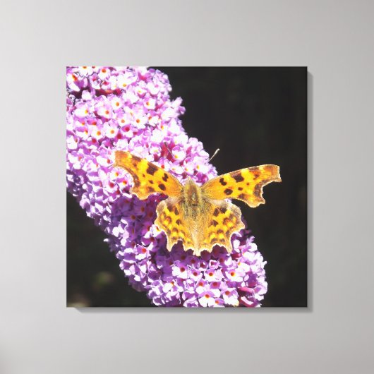 Lillische Blume mit einem Schmetterling darauf Leinwanddruck (Vorderseite)