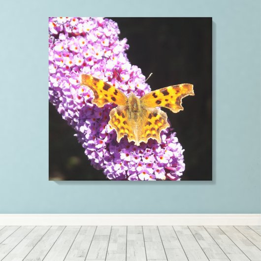 Lillische Blume mit einem Schmetterling darauf Leinwanddruck (Insitu (Holzboden))