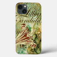 Lillium Candidum