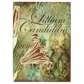 Lillium Candidum Klemmbrett (Rückseite)