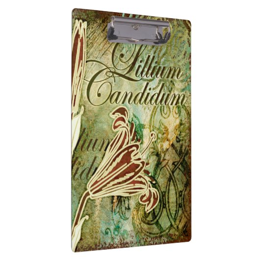 Lillium Candidum Klemmbrett (Rechts)